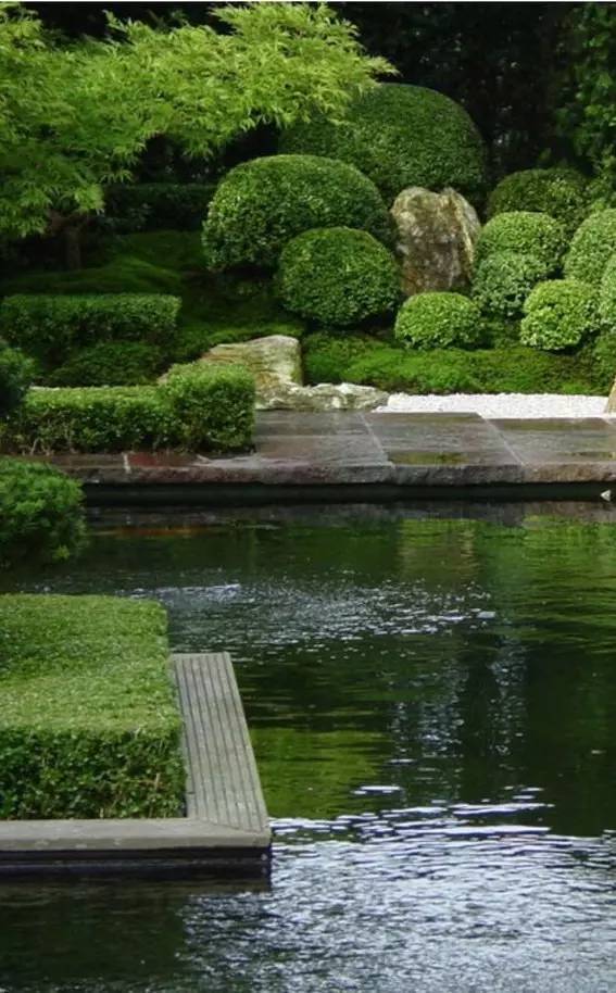 别墅花园里为什么必须要有水景